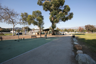 Enlarge photo 7