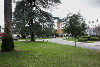 Enlarge photo 15