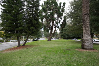 Enlarge photo 16