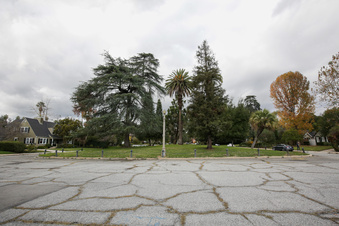 Enlarge photo 21