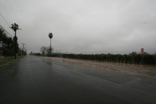 Enlarge photo 1