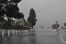 Enlarge photo 35