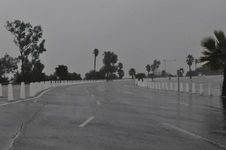 Enlarge photo 39