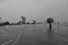 Enlarge photo 40