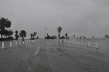Enlarge photo 41