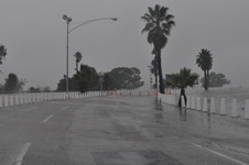 Enlarge photo 42