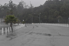 Enlarge photo 43