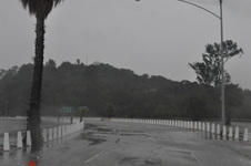Enlarge photo 45