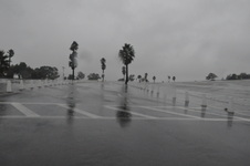Enlarge photo 47