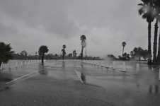 Enlarge photo 49