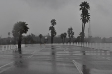 Enlarge photo 50