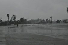 Enlarge photo 51