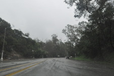 Enlarge photo 53