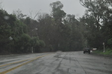 Enlarge photo 54