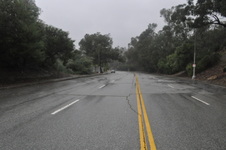 Enlarge photo 63