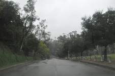 Enlarge photo 65