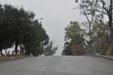 Enlarge photo 69