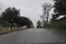 Enlarge photo 70