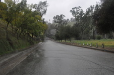 Enlarge photo 71