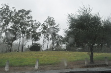 Enlarge photo 72