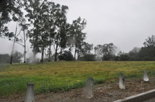 Enlarge photo 73
