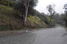 Enlarge photo 75