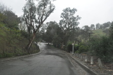 Enlarge photo 76