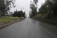 Enlarge photo 77