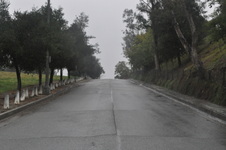 Enlarge photo 78
