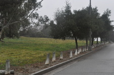 Enlarge photo 79