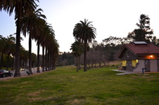 Enlarge photo 2