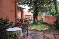Enlarge photo 57