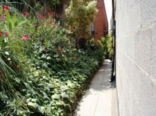Enlarge photo 40