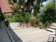 Enlarge photo 43