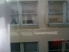 Enlarge photo 48