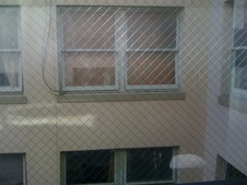Enlarge photo 49