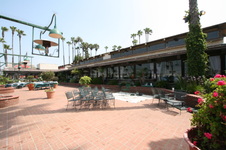 Enlarge photo 38