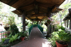 Enlarge photo 42