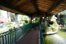 Enlarge photo 44