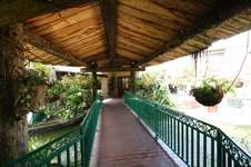 Enlarge photo 45
