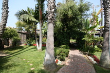 Enlarge photo 47