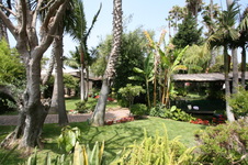 Enlarge photo 50