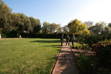 Enlarge photo 10
