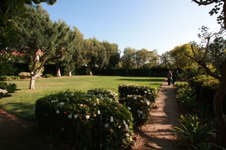 Enlarge photo 11