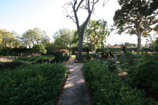 Enlarge photo 20