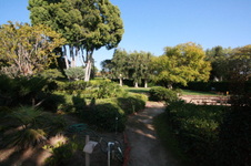 Enlarge photo 23
