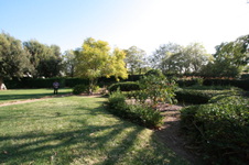Enlarge photo 26
