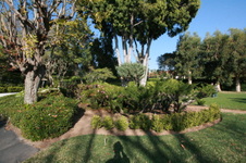 Enlarge photo 28