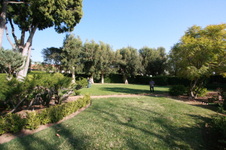 Enlarge photo 29