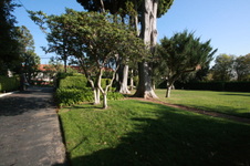 Enlarge photo 31